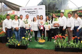 Inicia la temporada del Tulipán Holandés en Puebla
